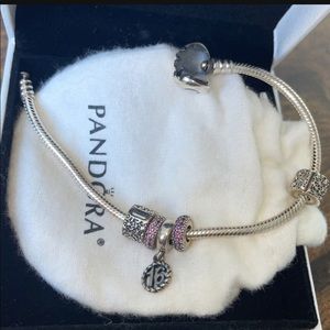 Pandora’s Bracelet and charms